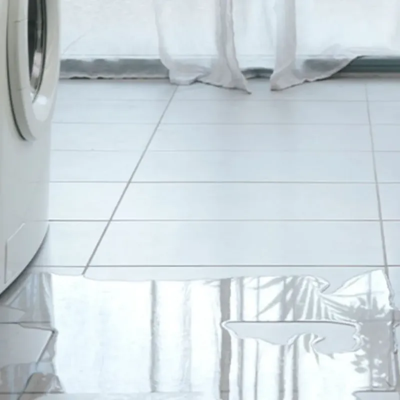 Appliance Leak Cleanup in Point Roberts, WA